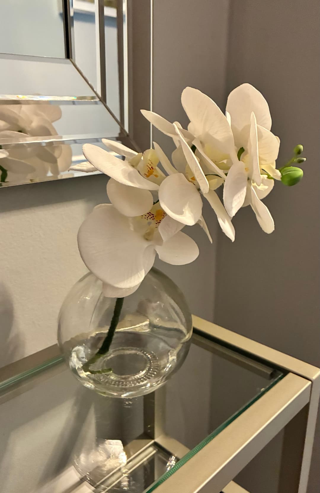 Collection Image